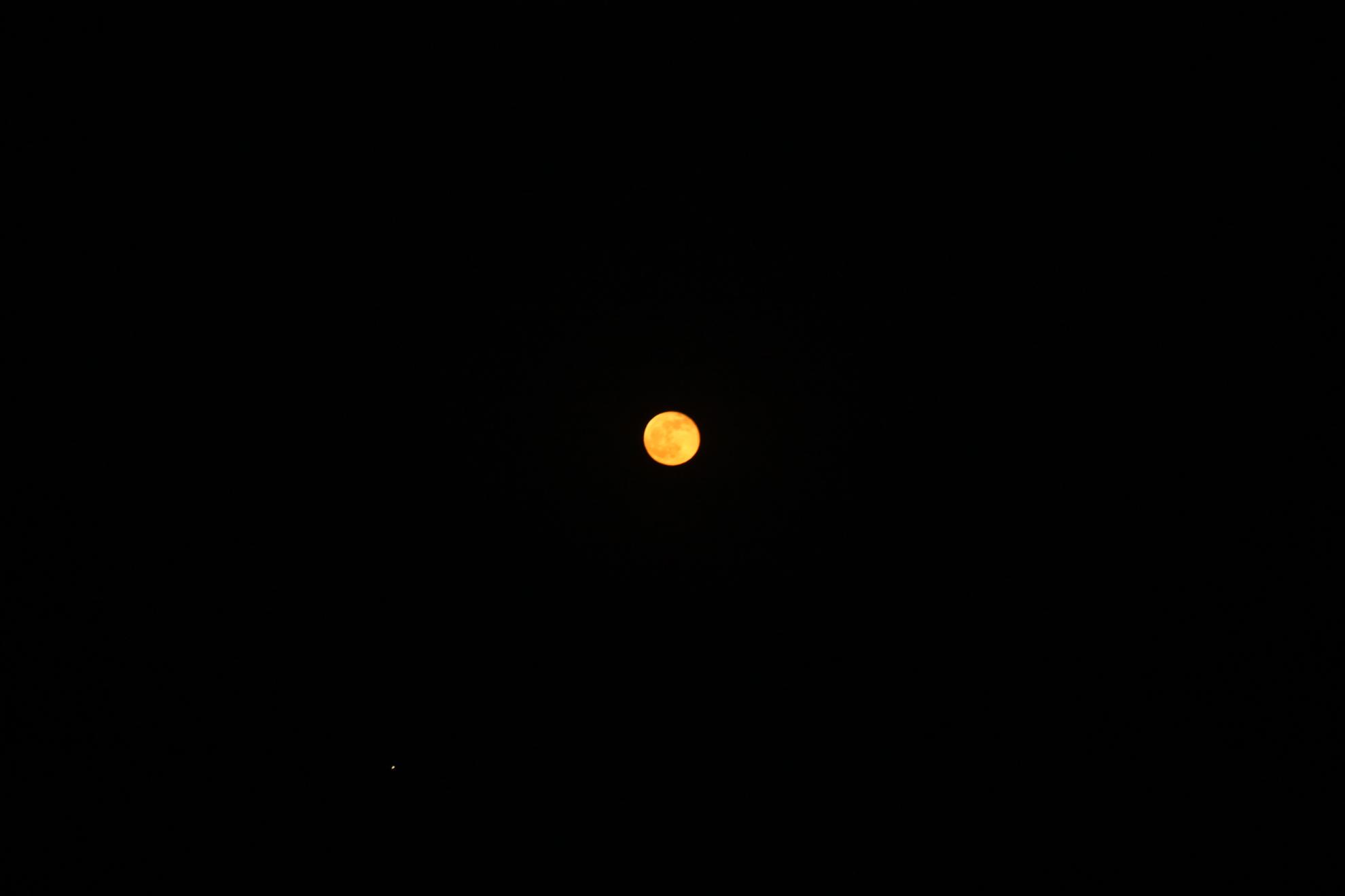 My new passion...3 - nagykallo-aprilie2013-384.JPG